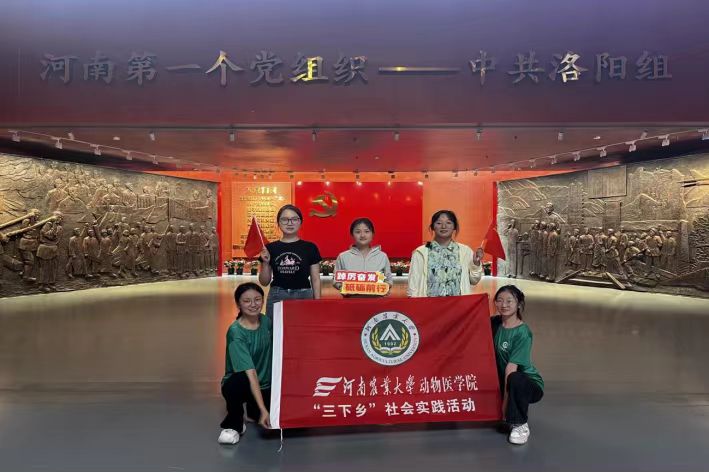 洛陽(yáng)組內(nèi)悟黨史 實(shí)踐途中展風(fēng)華